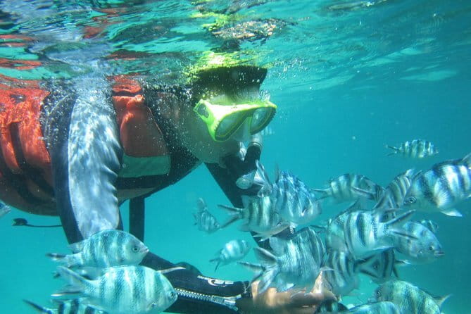 Blue Lagoon Snorkeling with Lunch and Waterfall in Ubud - Tegenungan Waterfall: the photo stop with real playtime
