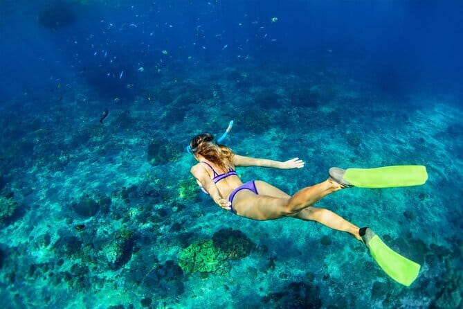 Blue Lagoon Snorkeling with Lunch and Waterfall in Ubud - Segara Windhu Coffee Plantation: tasting that feels connected