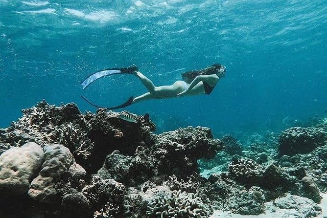 Blue Lagoon Snorkeling with Lunch and Waterfall in Ubud - Price and value: what you’re paying for at $50
