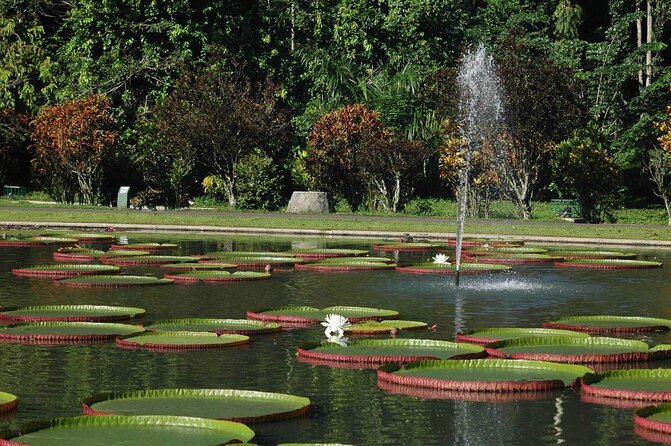 Bogor Botanical Garden & Rainforest Trekking to Hidden Waterfall - Key Things I’d Prioritize on This Bogor Day Trip