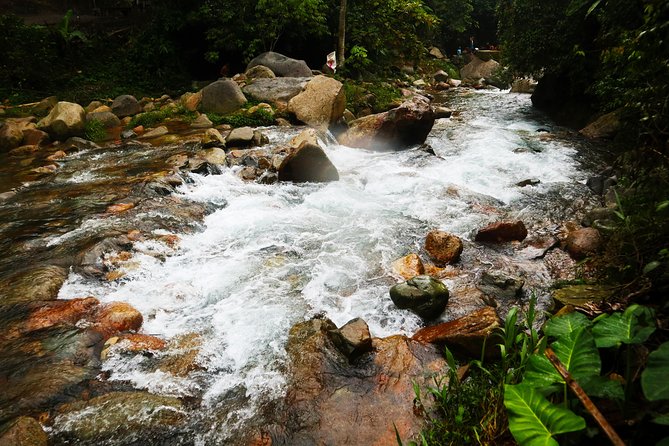 Bogor Botanical Garden & Rainforest Trekking to Hidden Waterfall - Lunch, Bottled Water, and Why Small Comforts Matter on a Trek Day