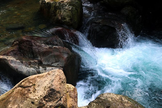 Bogor Botanical Garden & Rainforest Trekking to Hidden Waterfall - Price and Value: Is $95 a Good Deal for Bogor?