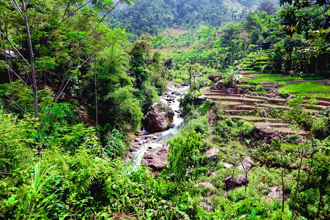 Bogor Botanical Garden & Rainforest Trekking to Hidden Waterfall - What to Bring: Shoes, Spare Clothes, and a Bathing Suit Plan