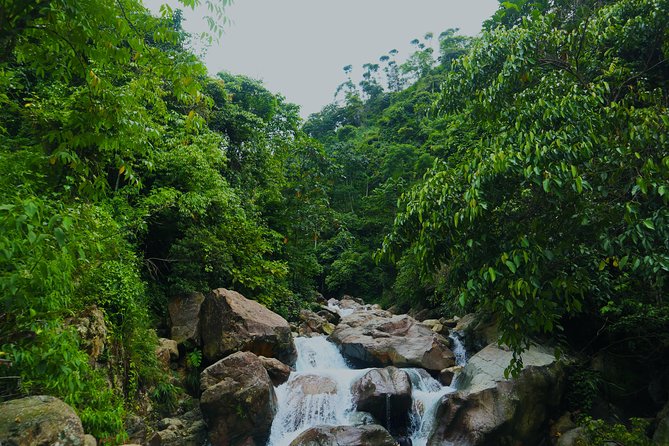 Bogor Botanical Garden & Rainforest Trekking to Hidden Waterfall - Gede Pangrango National Park Rainforest Trek: Expect Damp Feet and Learning Along the Way
