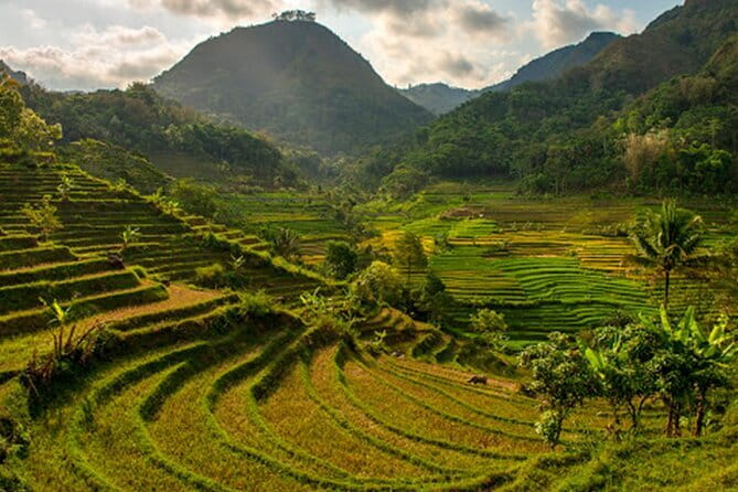 Borobudur Climb Up and Selogriyo Temple Rice Terraces Trekking - Timing and pacing: what a 10-hour day feels like