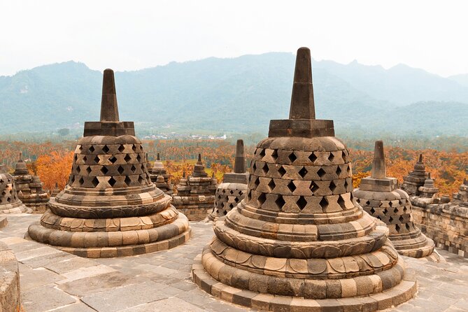Borobudur Private Tour From Semarang Port - Who This Borobudur Port Tour Fits Best