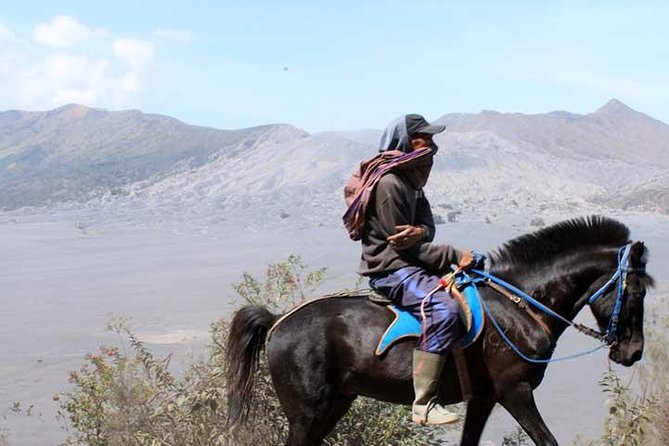 Bromo panorama tour to avoid the crowds - start Malang // 1 day tour - Key highlights at a glance