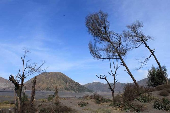Bromo panorama tour to avoid the crowds - start Malang // 1 day tour - The Sand Sea, where the ground feels otherworldly