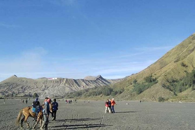 Bromo sunrise tour - start Surabaya // 1 day - Getting to Gunung Penanjakan: Coffee at Dawn and Your First Big View