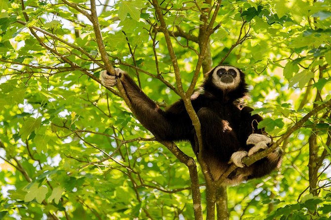 Bukit Lawang Full Day Jungle Trek - Price and value: is $72.48 a fair deal?