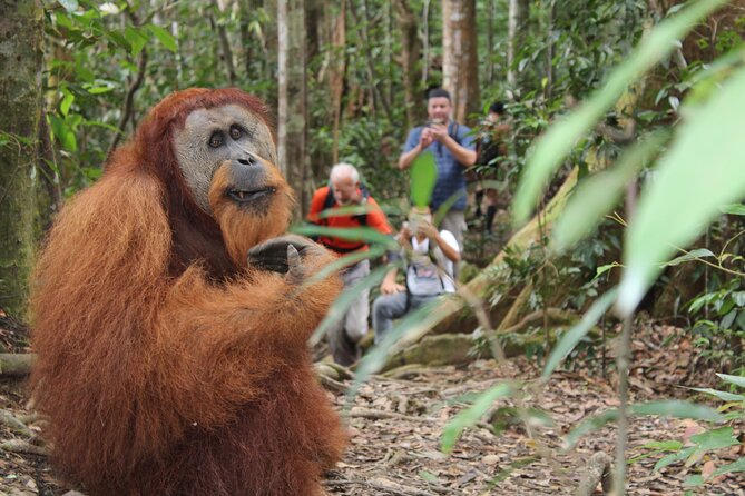 Bukit lawang tour 3days-2 night jungle trekking including rafting - Bukit Lawang to Gunung Leuser: how the adventure starts