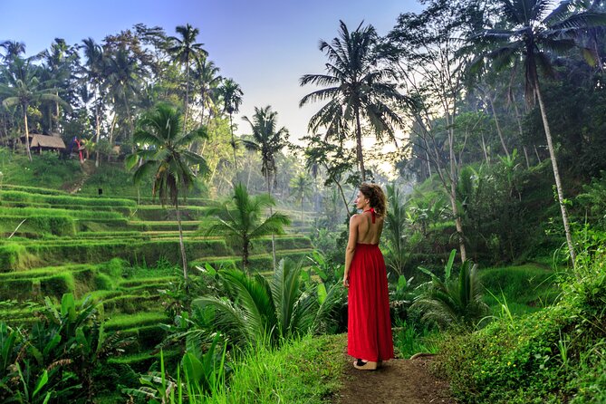 Cave Tubing Adventure & Rice terrace - Pickup, Air-Conditioned Comfort, and How Private Transport Changes the Day