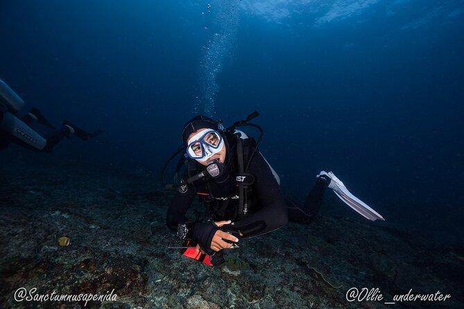 Certified Scuba Dive with Manta Rays (Open Water Diver minimum) - The 1:4 guide ratio and small-group size, why you’ll feel it