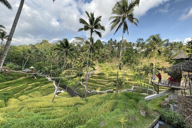 coconut wine and coffee safary tour - Timing and logistics: the 3 pm start makes sense