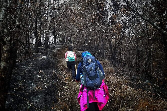 Conquer Mount Rinjani Second Summit: A 2-Day, Lombok-Indonesia - Eco-friendly trekking: tree planting plus real cleanup habits