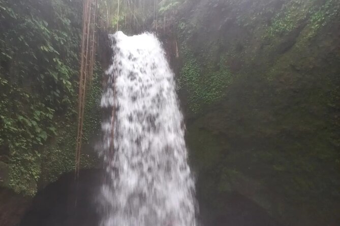 CRETYA Ubud infinity Pool + Hidden Water fall + Water Temple Tour - Price and Value: What You Pay for at $65 Per Person
