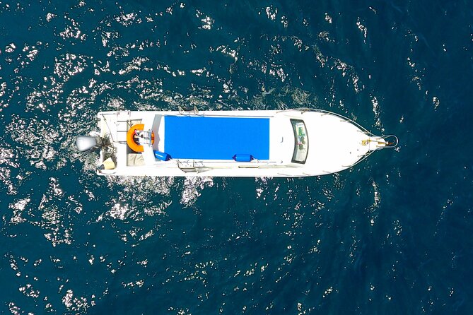 Daily Trip Highlight Komodo Archipelago by Speed Boat - Taka Makassar and Manta Point: the best chance at mantas