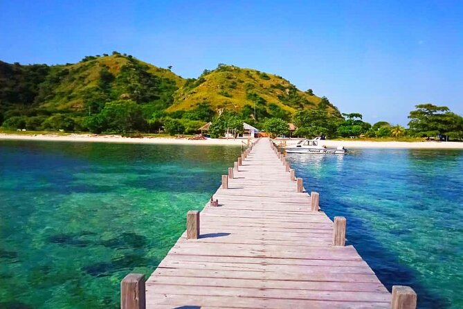 Daily Trip Highlight Komodo Archipelago by Speed Boat - What $140 really includes, and where the costs can add up