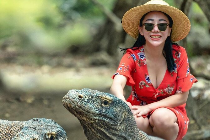 Daily Trip Highlight Komodo Archipelago by Speed Boat - Padar Island: viewpoint time and the entrance fee you must budget