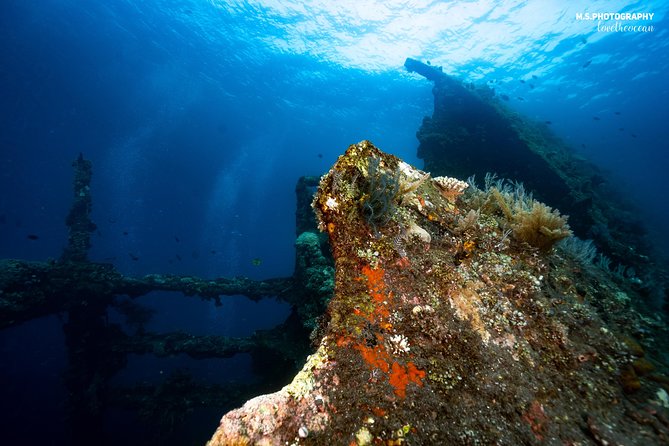 Day Trip certified divers - 3 Dives in Tulamben (pick-up & drop-off included) - Equipment, center facilities, and the little comfort wins