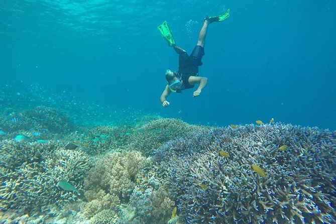 Day Trip Gili Trawangan, Gili Meno, Gili Air (Depart Lombok) - Gili Meno again, plus the Jason deCaires Taylor underwater sculptures