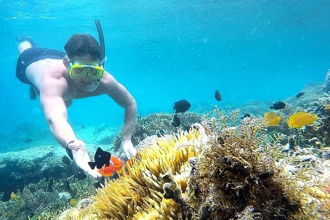 Day Trip Secret Island West Of Lombok - Key highlights I’d bookmark before you go
