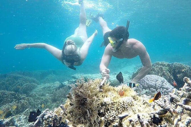 Day Trip Secret Island West Of Lombok - Stop 2: Gili Layar and the pipefish plus nudibranch eggs