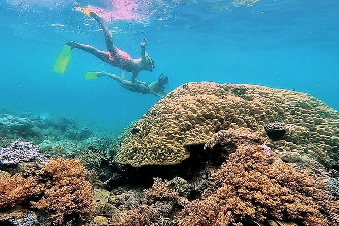 Day Trip Secret Island West Of Lombok - Stop 3: Gili Rengit for clear water and quiet-wave comfort