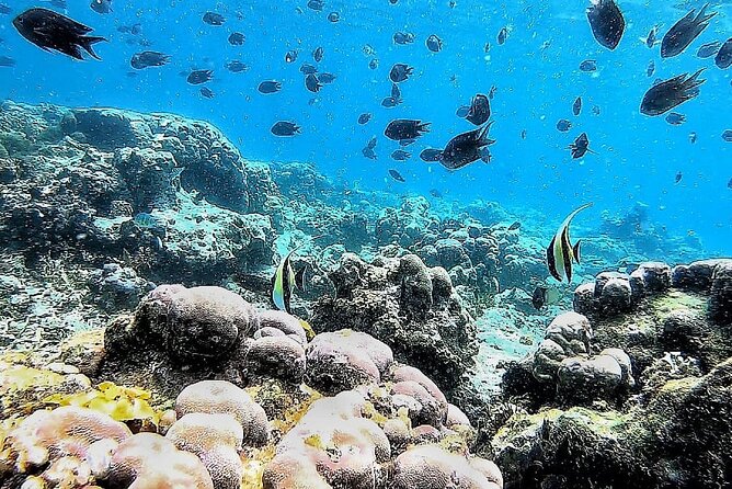 Day Trip Secret Island West Of Lombok - Stop 4: Gili Asahan for greenish-water reefs