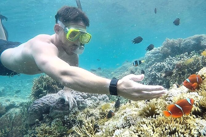 Day Trip Secret Island West Of Lombok - What’s included, and why that affects your real cost
