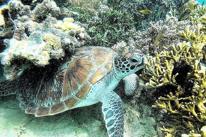 Day Trip Secret Island West Of Lombok - Price and value: when $125 per group makes sense