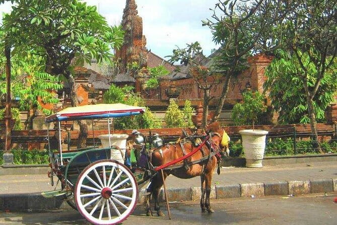 Discover Bali : Shore Excursion from Benoa Port with Free Wi-Fi - Key takeaways before you go