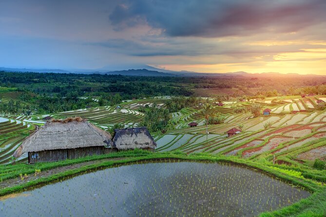 Discover Hidden Waterfall, Unesco Rice Terraces and Mountain Temple - Why this Ubud tour feels more real than a checklist