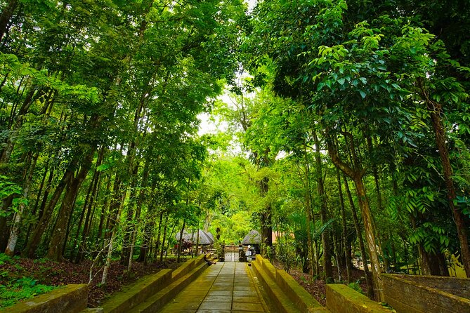 Discover Hidden Waterfall, Unesco Rice Terraces and Mountain Temple - Stop 2: Jatiluwih UNESCO rice terraces and the irrigation story