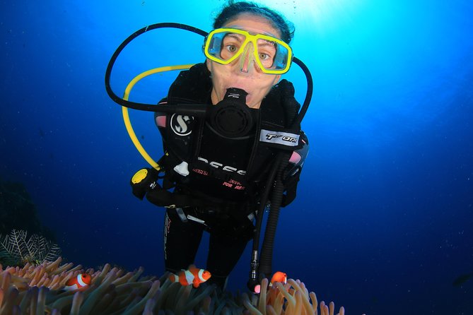 Discover Scuba Diving - Price, schedule, and how to judge the value