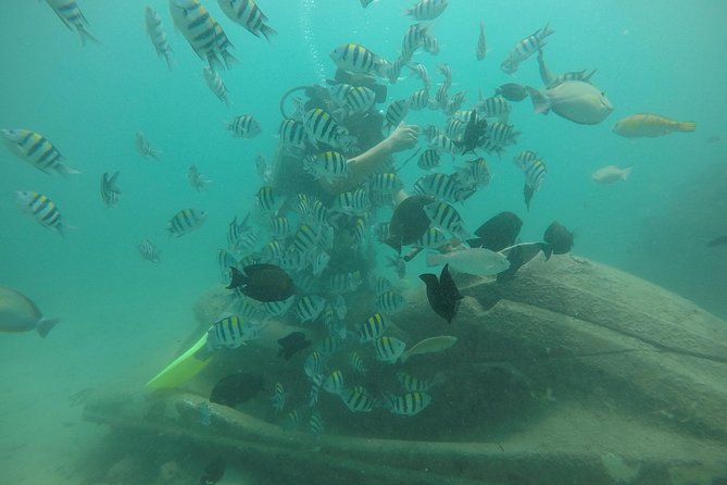 Discover Scuba Diving ( beginners) Combined With Jet Ski - Getting Picked Up Across Bali: The Convenience Advantage