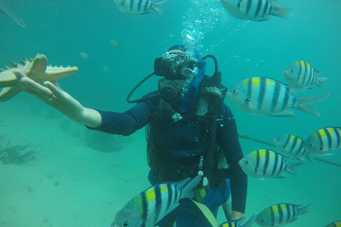 Discover Scuba Diving ( beginners) Combined With Jet Ski - Tanjung Benoa Water Sports: What the First Stop Usually Looks Like
