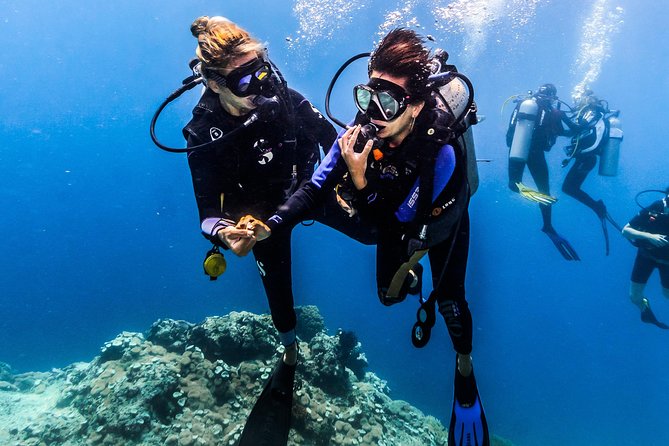 Discover Scuba Diving in Pemuteran - Diving Initiation in Bali (Menjangan Park) - Menjangan National Park: Your 12-Meter Limit and Reef Time
