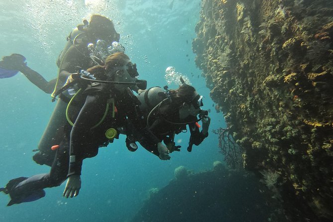 Discover Scuba Diving Tulamben Bali For Non-Certified Divers - Who this experience suits best, and who should pause