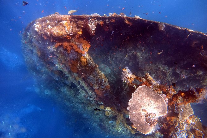 Discover Scuba Diving - Welcome tea, rules, and a pool reality check
