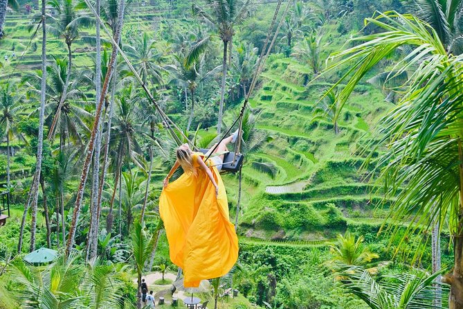 Discover The Best of Ubud: All-Inclusive and Private Guided Tour - Private driver-guide plus Wi-Fi: Ubud without the scramble