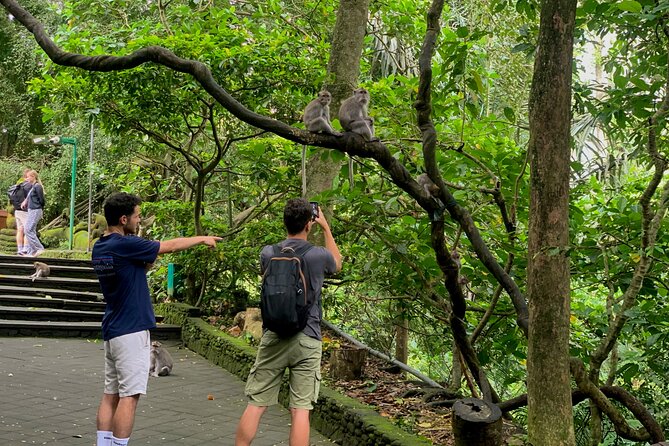 Discover The Best of Ubud: All-Inclusive and Private Guided Tour - Stop 1: Sacred Monkey Forest Sanctuary, plus etiquette that saves your day