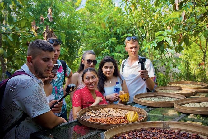 Discover The Best of Ubud: All-Inclusive and Private Guided Tour - Lunch at Amertha Restaurant: rice views and your choice of food