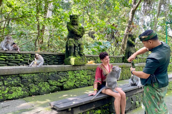 Discover The Best of Ubud: All-Inclusive and Private Guided Tour - Stop 5: Tirta Empul Holy Water Temple, sarong support and purification guidance