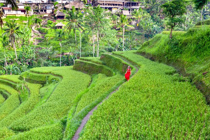 Discover The Best of Ubud: All-Inclusive and Private Guided Tour - The 8-to-10-hour route: from monkeys to sacred water