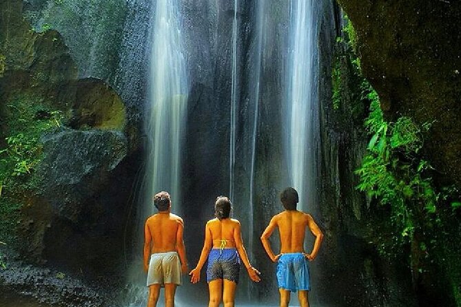 Discover the best waterfalls in Ubud and rice terraces tour - Tegalalang rice terrace: see working paddies, not just views