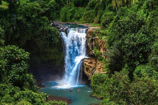 Discover Ubud: Exotism Ubud and Optional Meet the Bali Shaman - Price and logistics: what your $85 covers (and what it doesn’t)