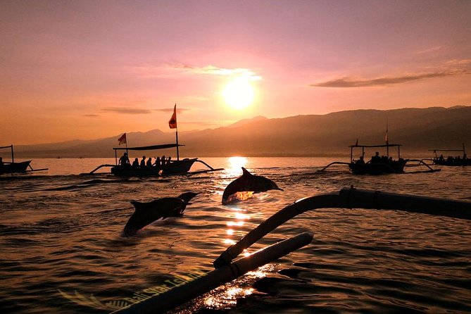 Dolphin Tour and Sunrise Watching in Lovina Beach - All Inclusive - Quick hits before you commit