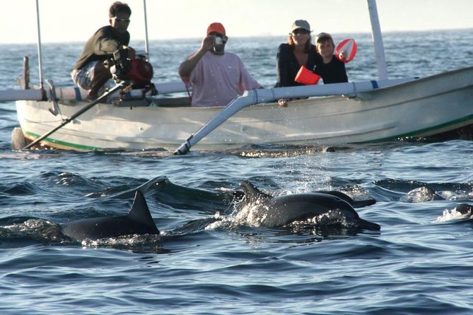 Dolphin Tour and Sunrise Watching in Lovina Beach - All Inclusive - Lovina sunrise dolphins, and what you are really booking