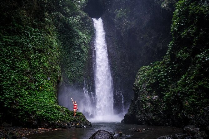 Dolphin Tour and Sunrise Watching in Lovina Beach - All Inclusive - Wanagiri Hidden Hills swing above Lake Buyan